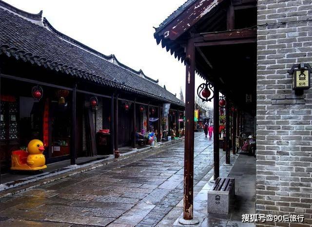 寻找萌小老虎